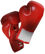 Boxing Gloves