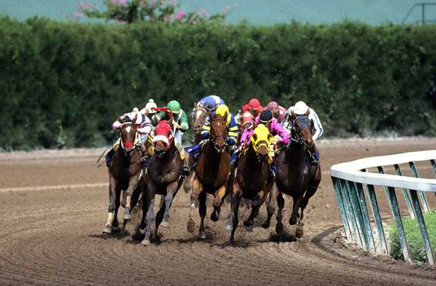 Horse Racing in Gulfstream